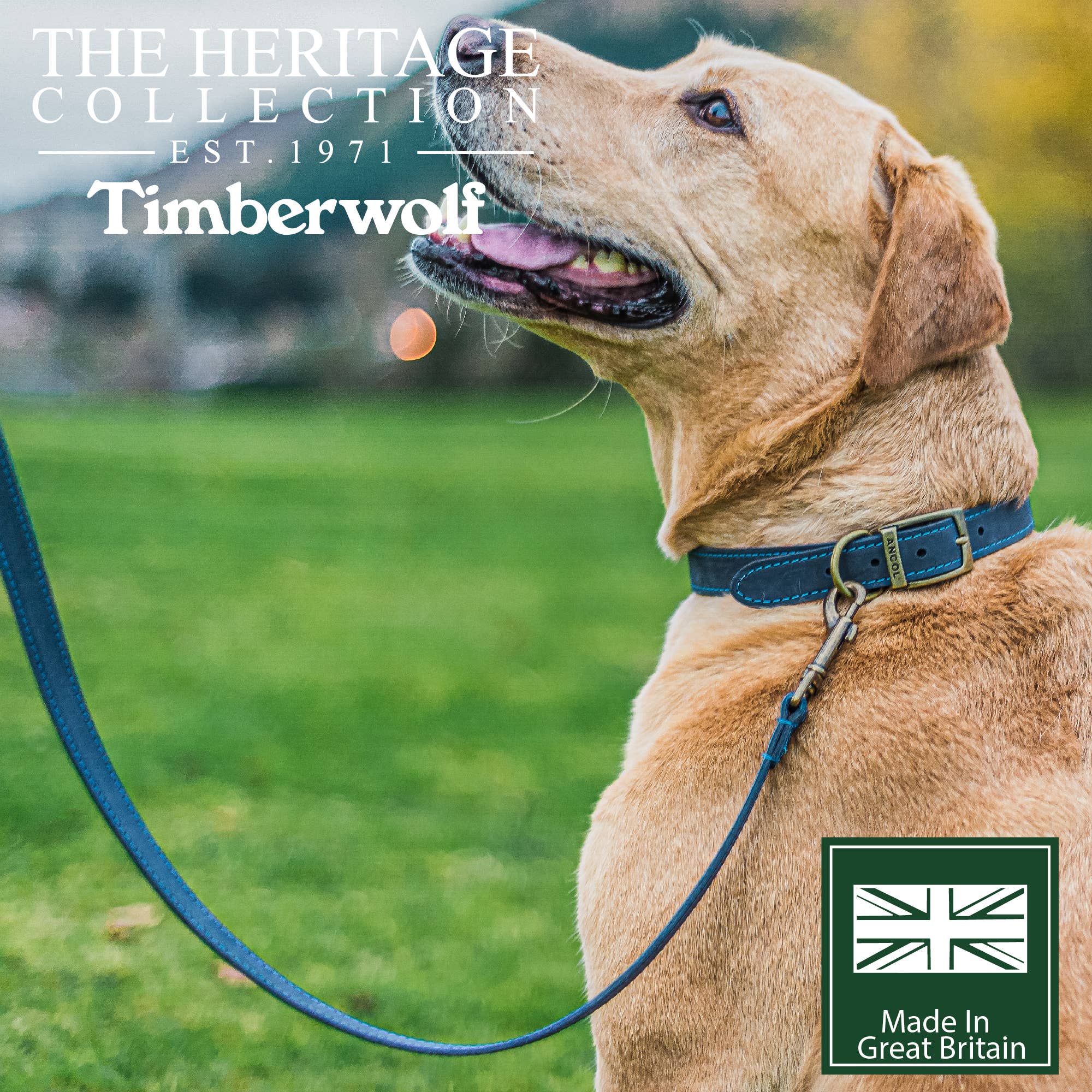 Ancol Pet Products Ltd – wholesale Pet leash – Dog – Timberwolf Leather Lead - various colours- 1m x 19mm7