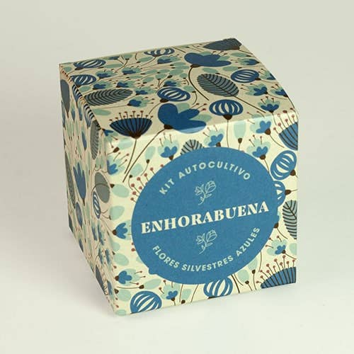 Resetea - Wholesale Plant Seeds - Say it with flowers "Congratulations" 💐4