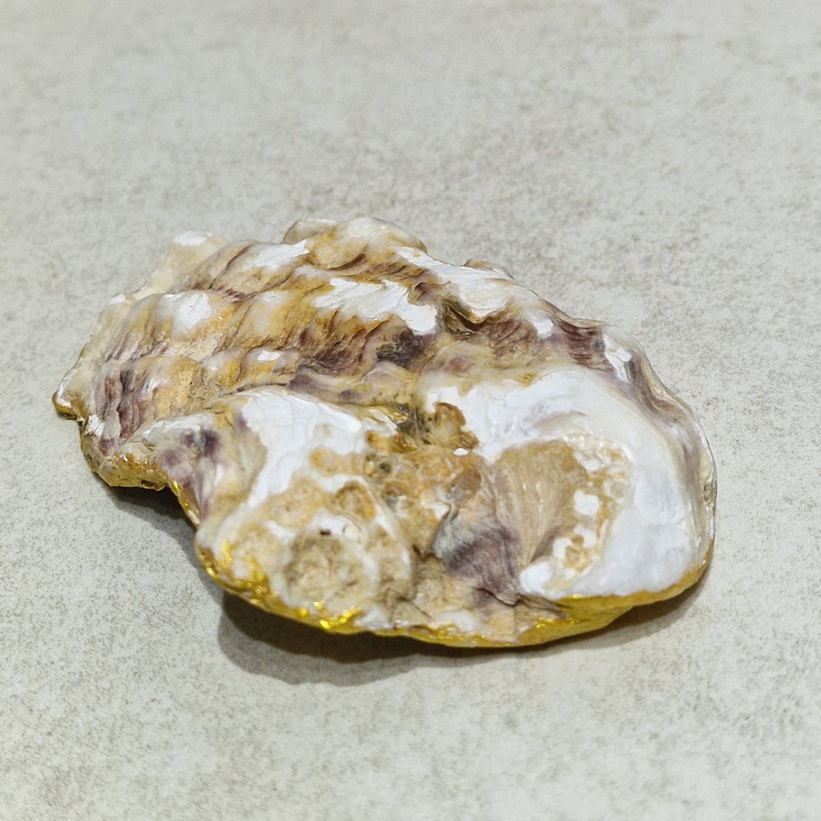 Bee my Oyster - Vendita all'ingrosso Portagioie - Portagioie invernale a forma di uccellino sulla neve, a forma di conchiglia d'ostrica1