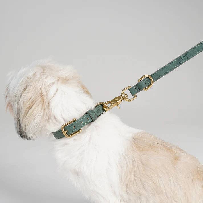 Staey – wholesale Pet leash – Dog – Grace Leather Dog Leash | Moss Green1