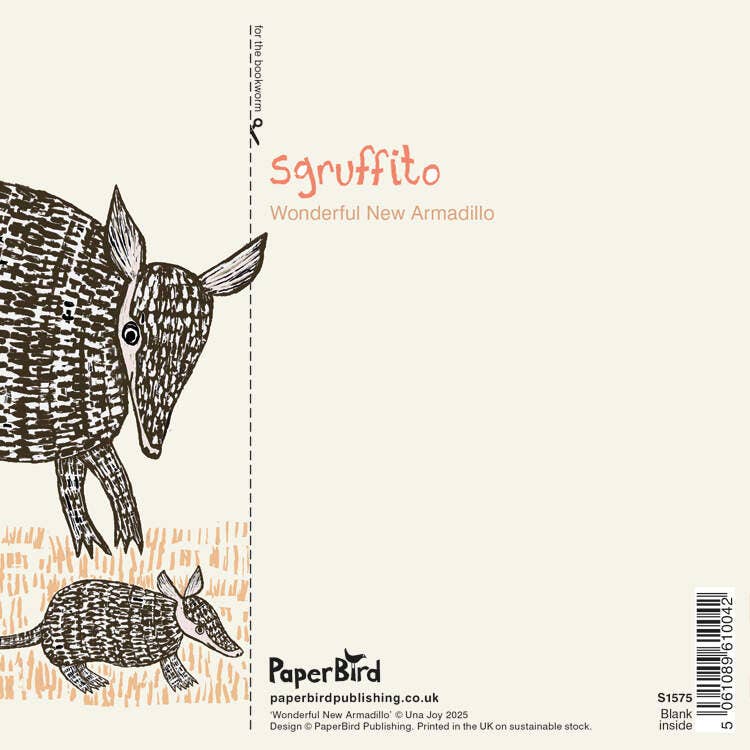 Paper Bird Publishing – wholesale Baby announcement card – Wonderful New Armadillo1