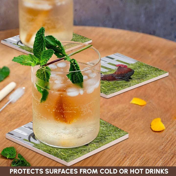 3dRose – wholesale Underlägg – 3dRose, Cubalaya Gypsy-tupp i Key West, Florida, USA., Glasunderlägg2