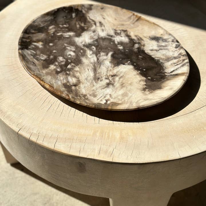 Office Objets - Wholesale Decorative Plate/Dish/Bowl - Very large catchall or dish in petrified wood37