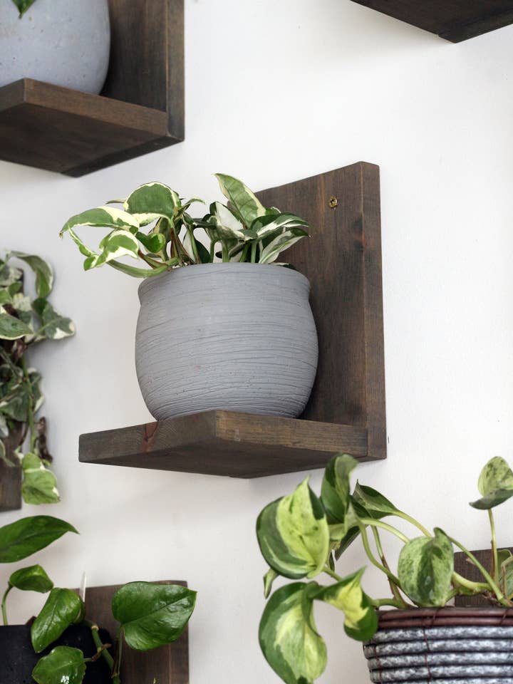 Daniel's Plants 3 Pack Gallery Wall Shelf—Dusk Grey for wholesale by Daniel's Plants