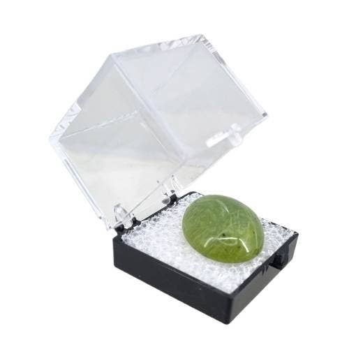 Alliz Trading - Wholesale Decorative box - Acrylic Specimen Box3