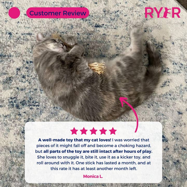 RYERCAT - Wholesale Pet Toy - Cat - Silvervine Cat Dental Sticks - Natural Dental Care (5 Pack)5