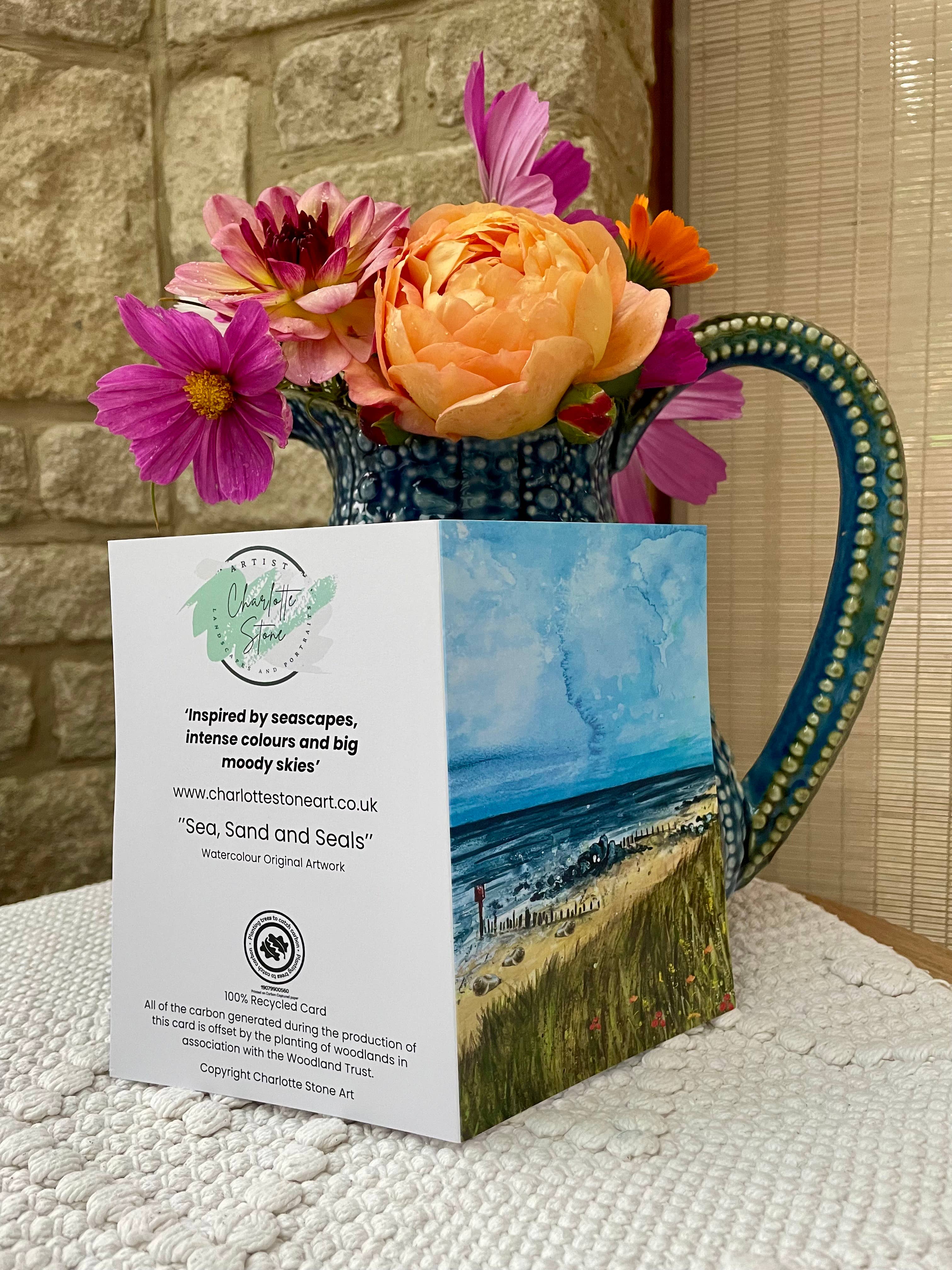 Charlotte Stone Art - Vente Carte de vœux classique - Carte de vœux écologique Mer Sable et Phoques - Art Couleur Côte Mer4