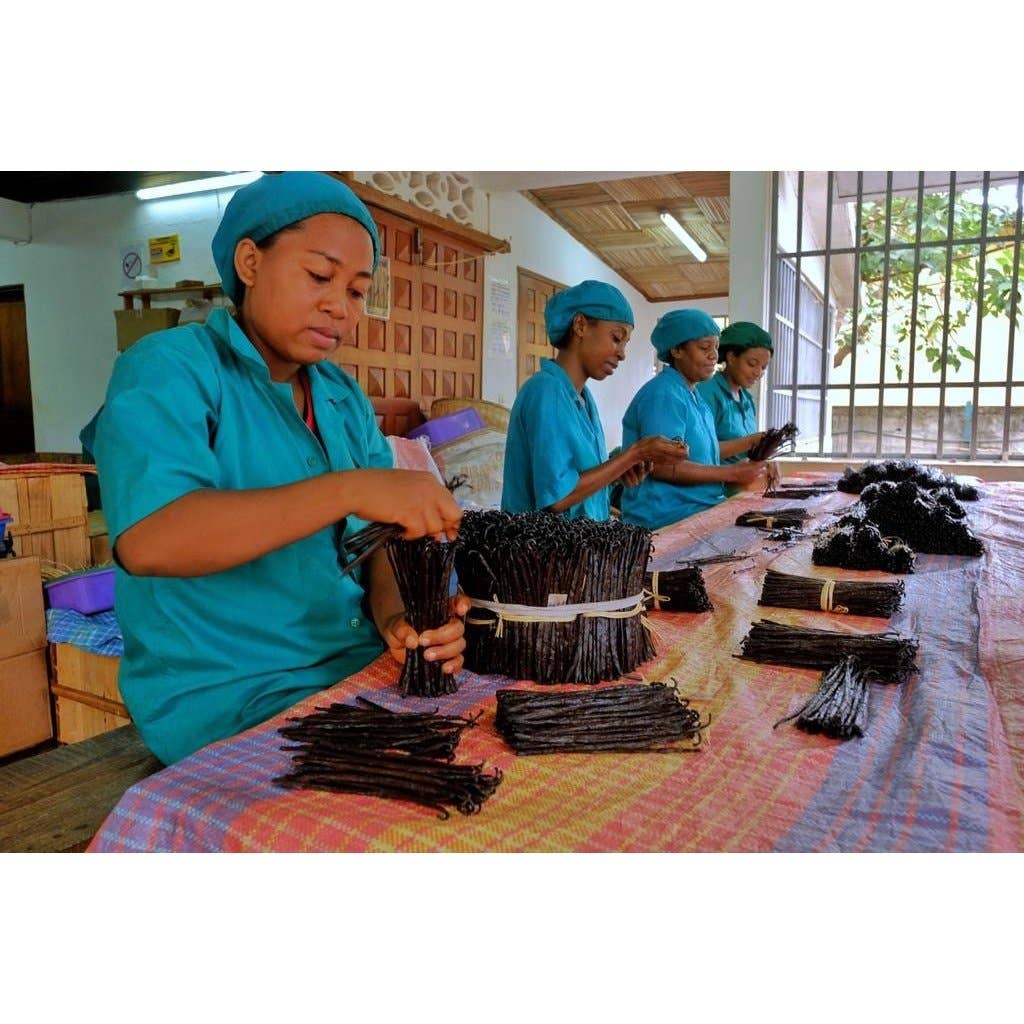 Taste of Paradise - Vendita all'ingrosso Estratti di frutta/alla vaniglia - Baccelli di vaniglia Bourbon Jumbo XXL (25x 20-23 cm) Top Gourmet Qualità - Grado A 100% naturale dal Madagascar7