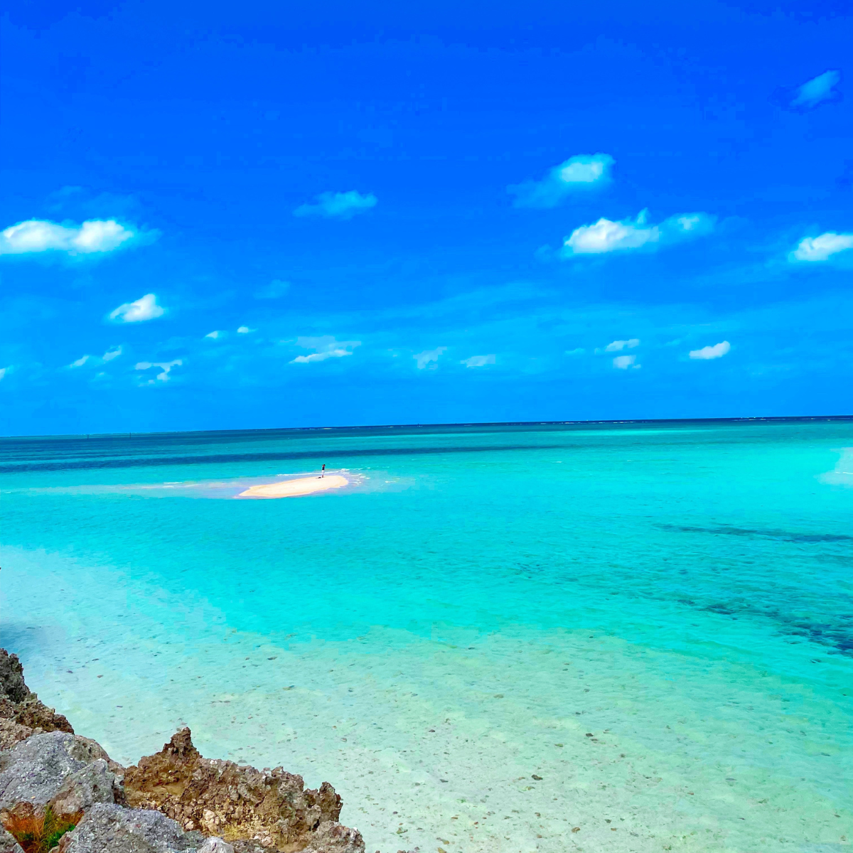 Umami Insider - Wholesale Sauce - Okinawa Teriyaki Sauce - Original, 8.11 oz16