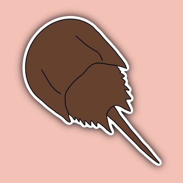 Horseshoe Crab - 3" Waterproof Sticker for wholesale by Delmarva Stickers