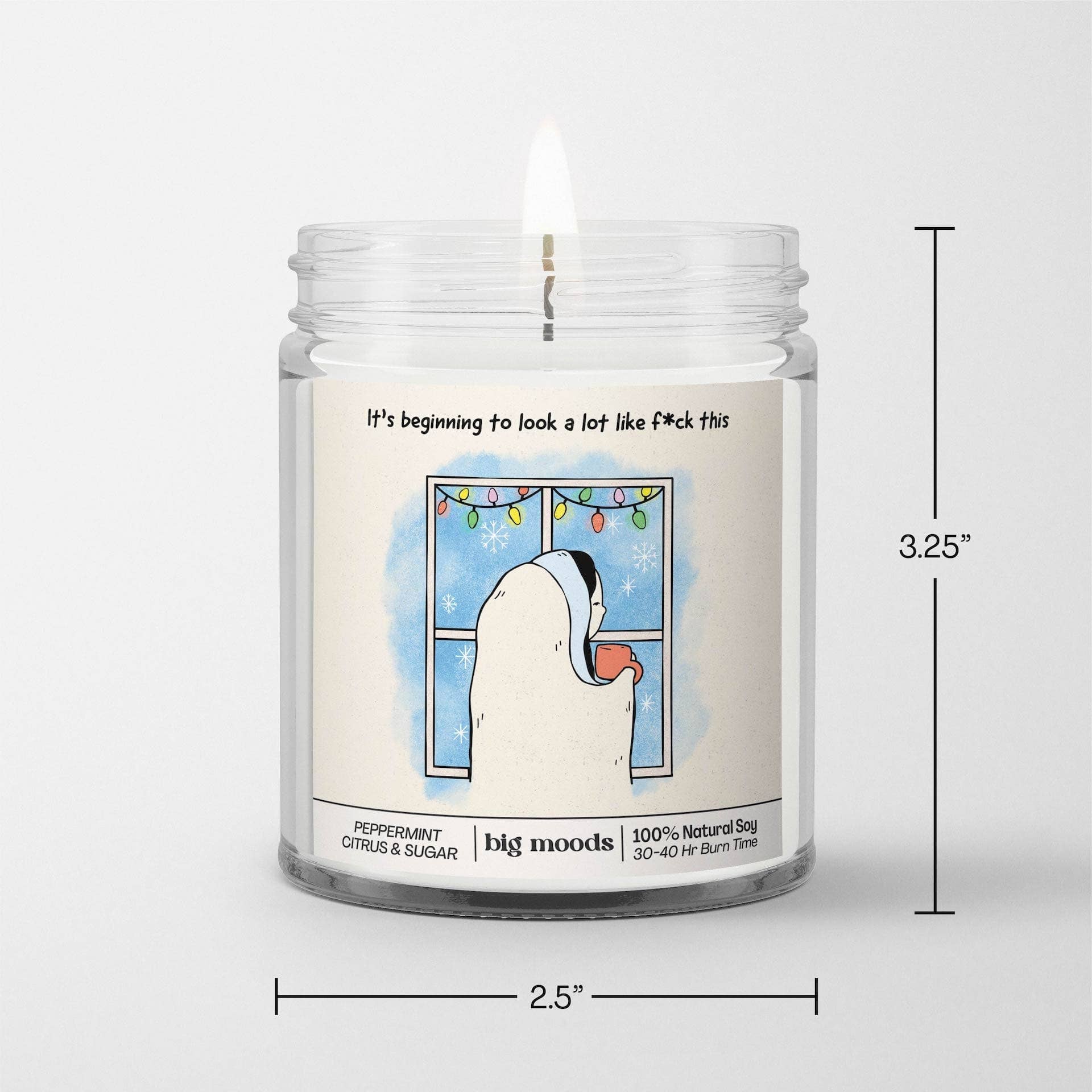 Big Moods - Wholesale Jar/Filled Candle - "It's Beginning to Look a Lot like F*ck This" - Soy Candle2