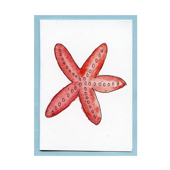 Carte de boîtier Orange Star Fish pour la vente par Zucchini Fish
