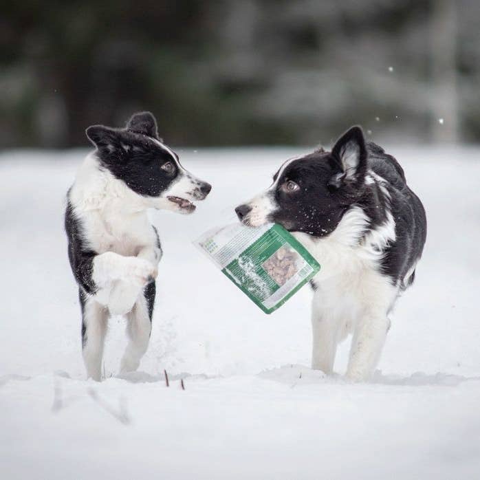 Sund Hundmat - Wholesale Pet treats – Dog - Freeze-dried Lamb chunks 60g2