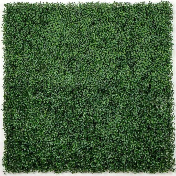 Designer Plants AU - Wholesale Artificial plant - Boxwood Hedge Screen Green Wall Panel UV Resistant 100cm x 100cm