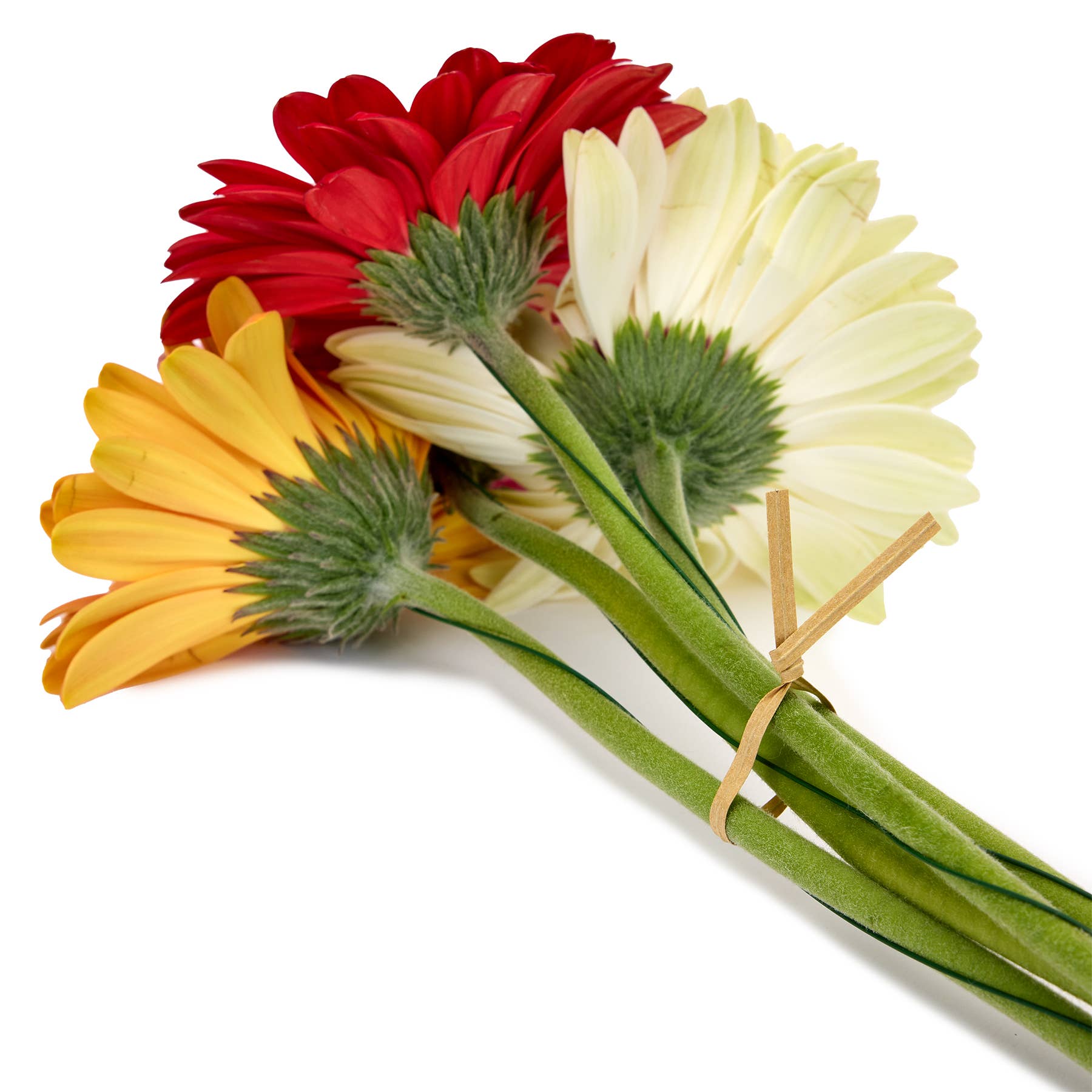 La Cordeline - Wholesale Twine - 1000 Twist links kraft paper+ metal 10 and 15cm6