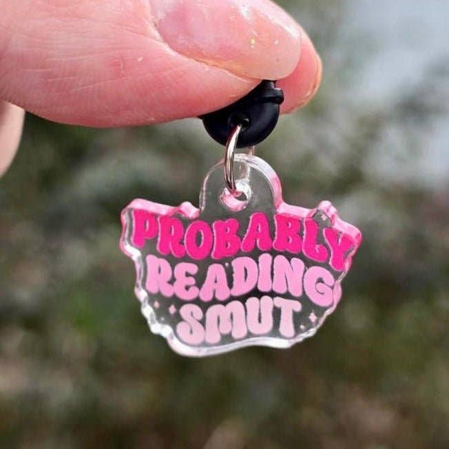 Awfullynerdy.co - Wholesale Keychain - Unisex - Probably Reading Smut Dust Plug USB-C