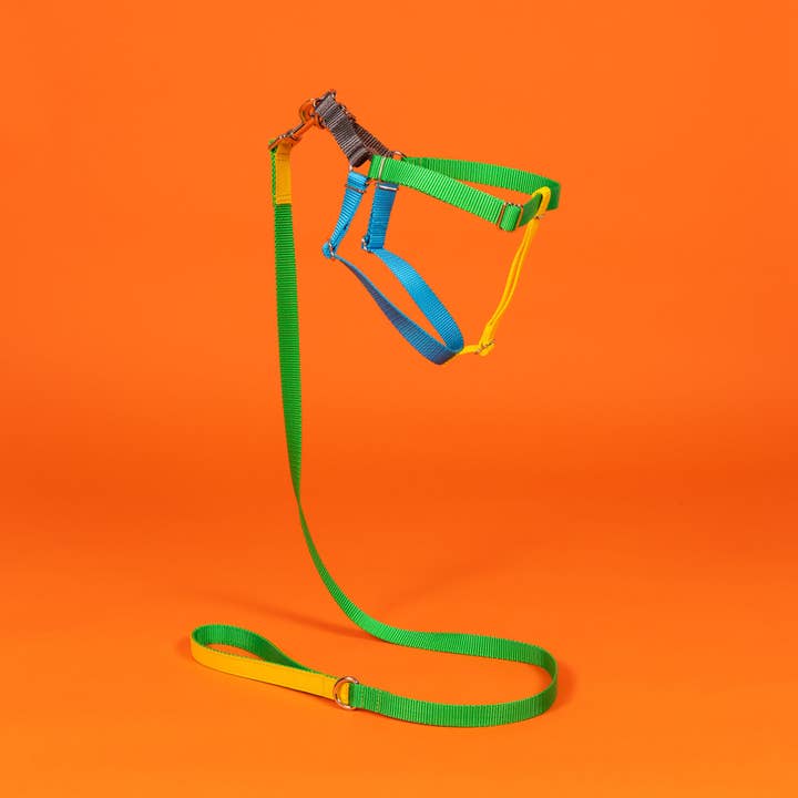 Color Block Harness Blau/Gelb/Grün/Grau für den Großhandel von Ware of the Dog