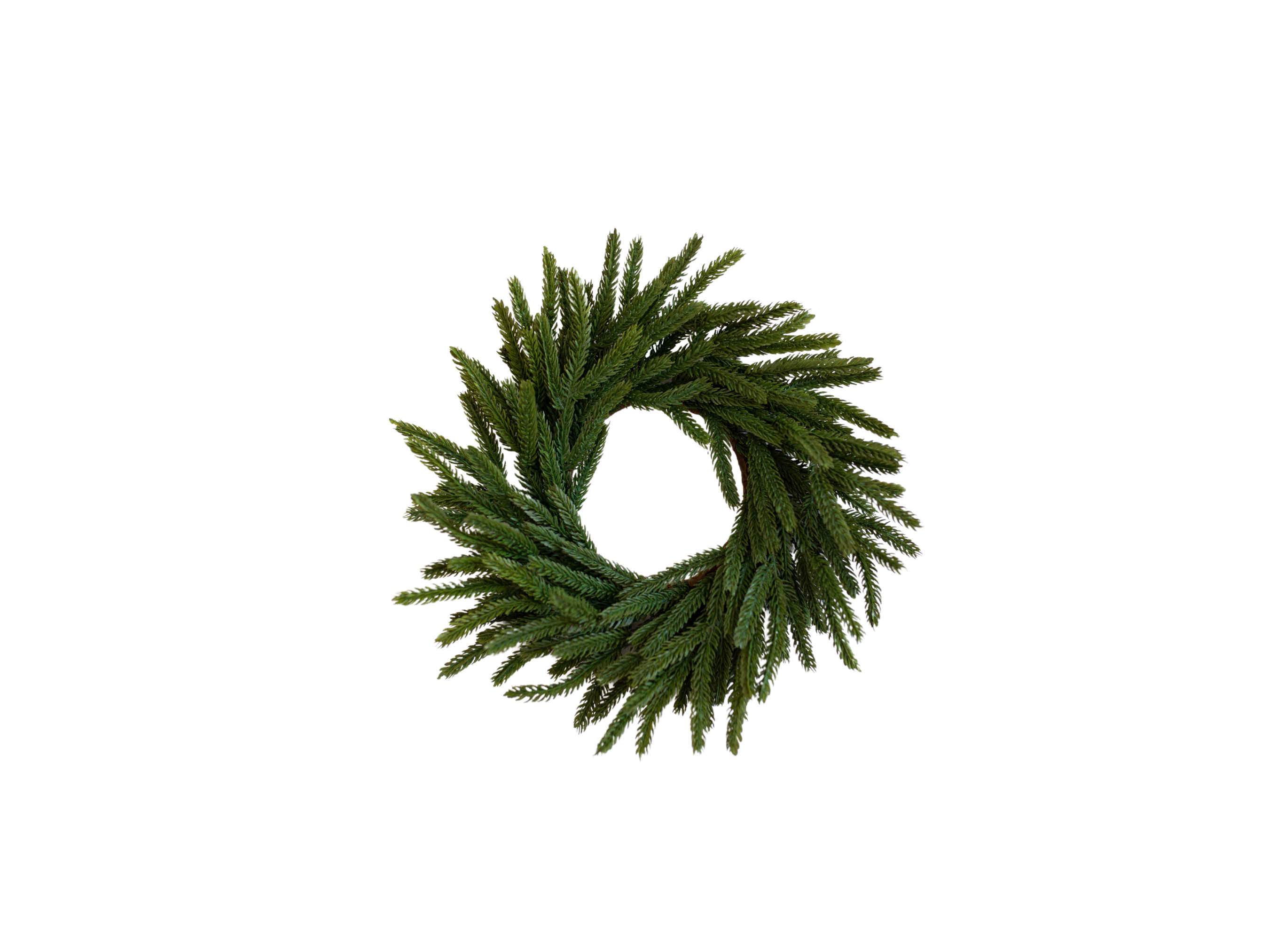 Luxe B Co - Wholesale Wreath - Norfolk Pine Real Touch Wreath Mini3