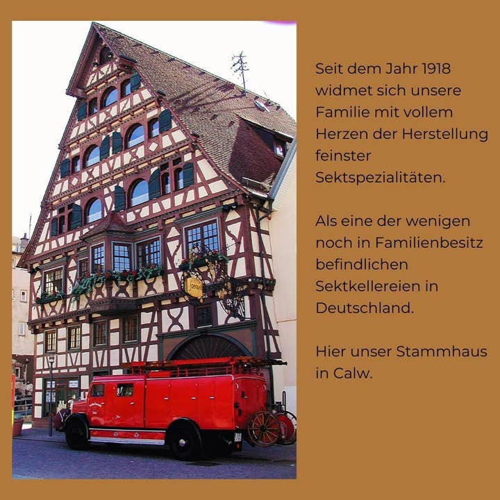 Justbe modern wine drinks - Wholesale Wine Gift Bag - Schlossbergkellerei Schnaufer Sparkling Wine Mixbox – Riesling, Chardonnay & Pinot Noir Rosé – Premium Quality from Germany – Family Winery since 19189