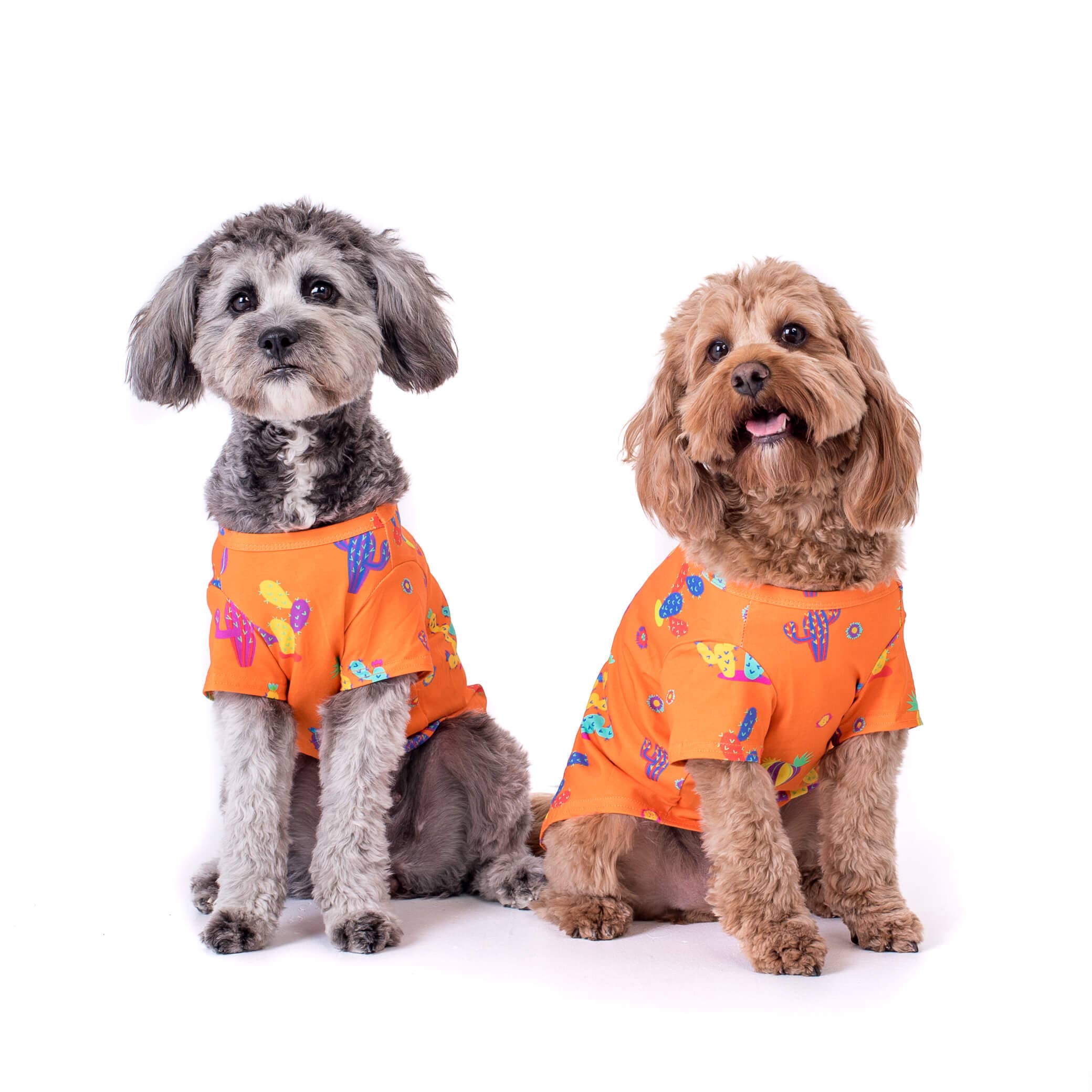 Vibrant Hound - Vente Chemise – chien - Chemise pour chien Lil Prick7