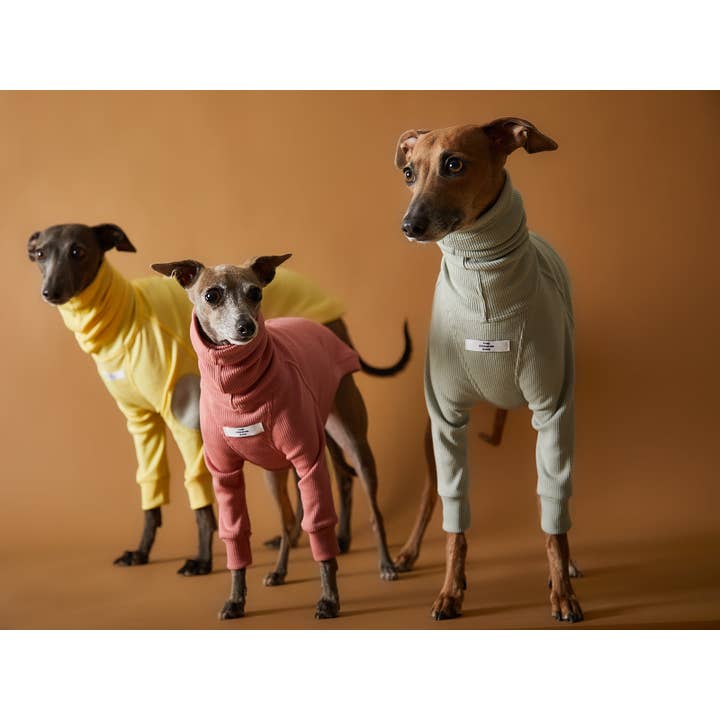 The Striped Dog - Vendita all'ingrosso Maglione - Cani - Maglione dolcevita a costine con levriero italiano/Whippet TULERIE