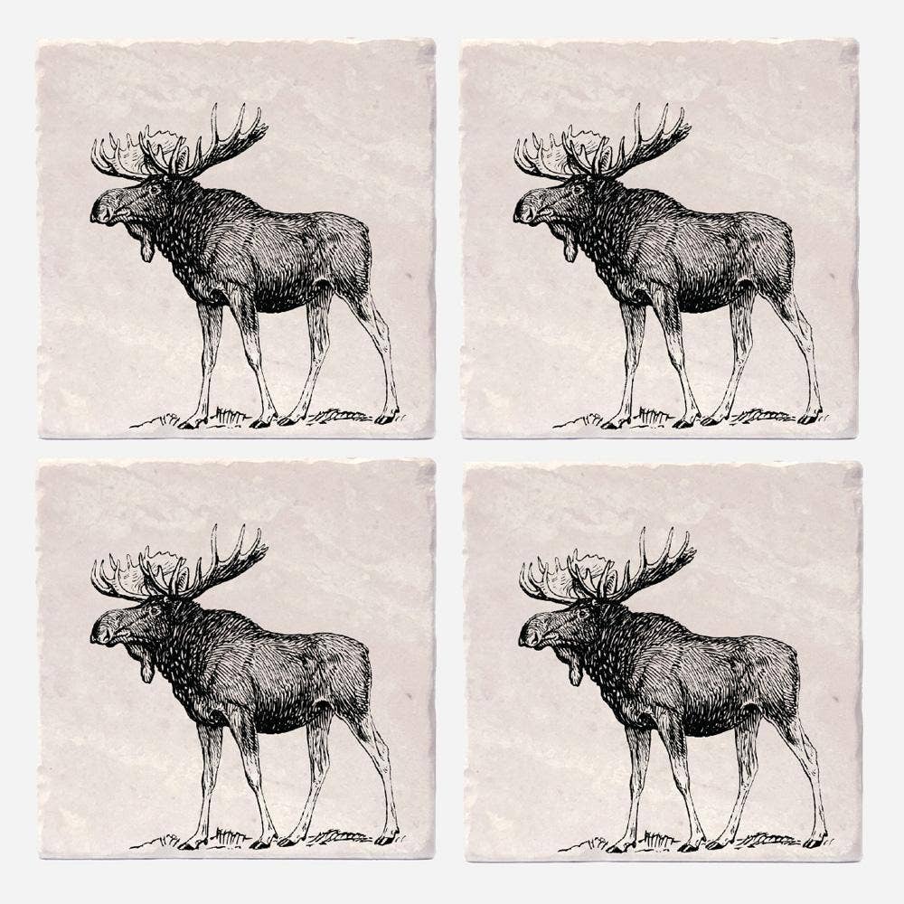 Versatile Coasters - Wholesale Coasters - Moose Coasters1