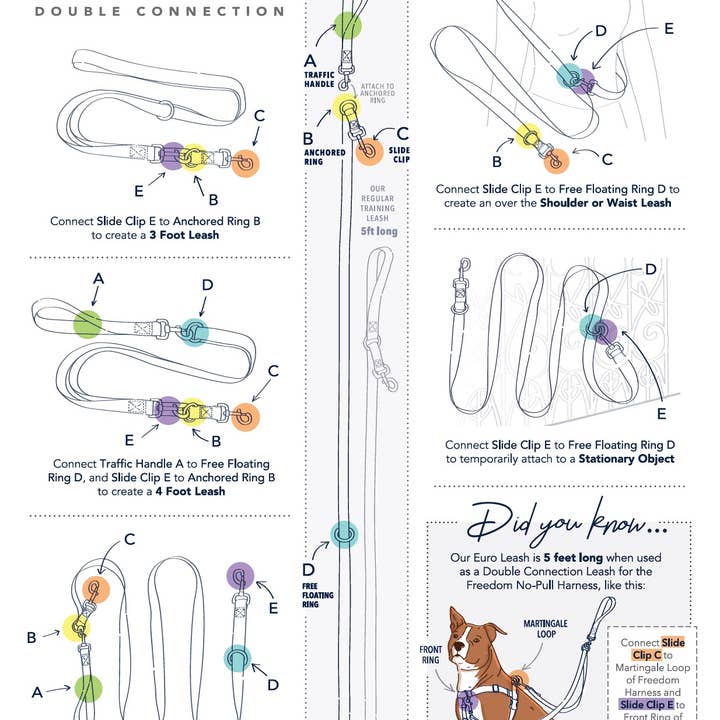 2 Hounds Design - Wholesale Pet Leash - Dog - Euro Dog Leash for Freedom No-Pull Dog Harness19