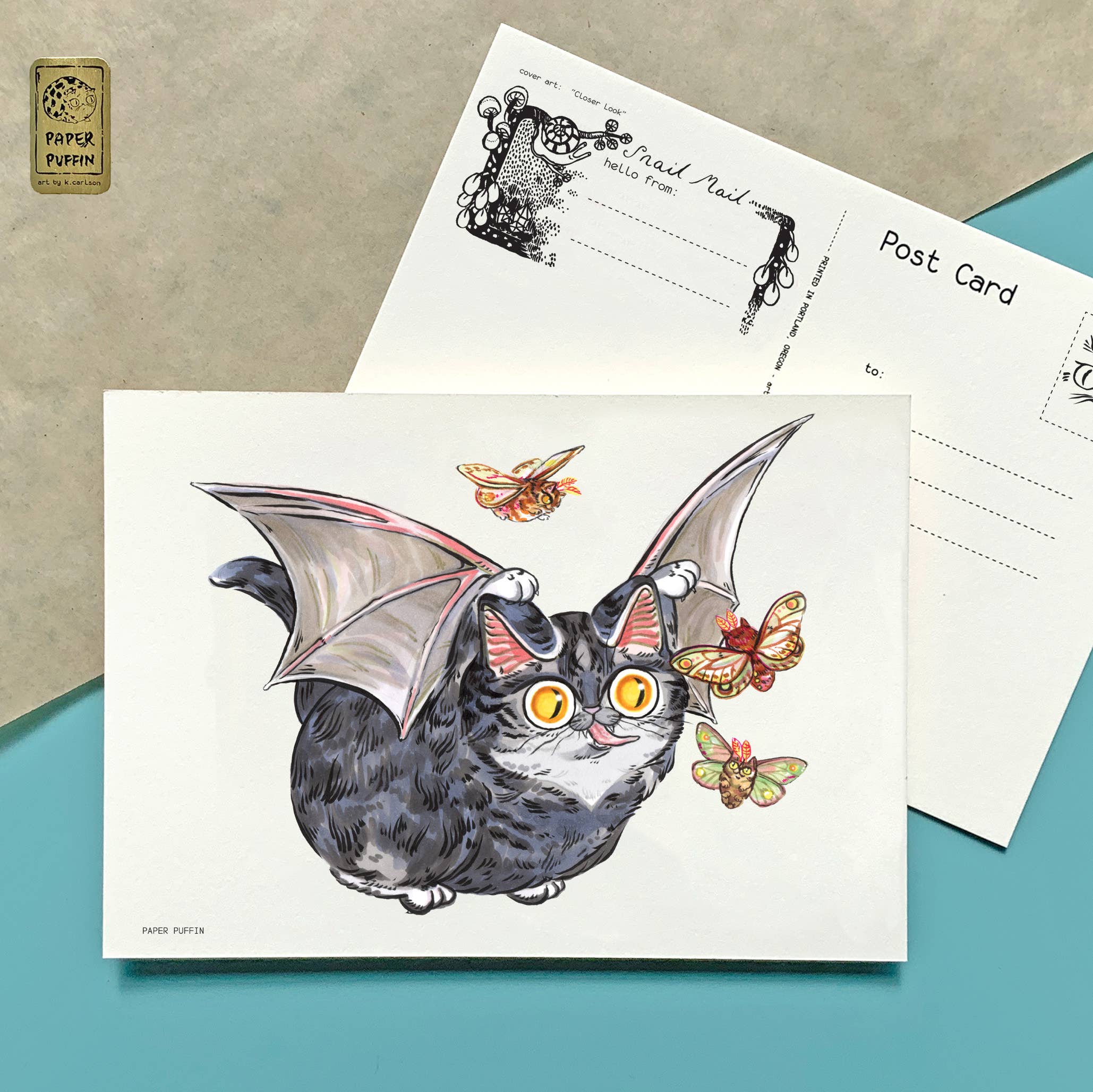 Paper Puffin - Wholesale Postcard - Bat Cat Postcard 0