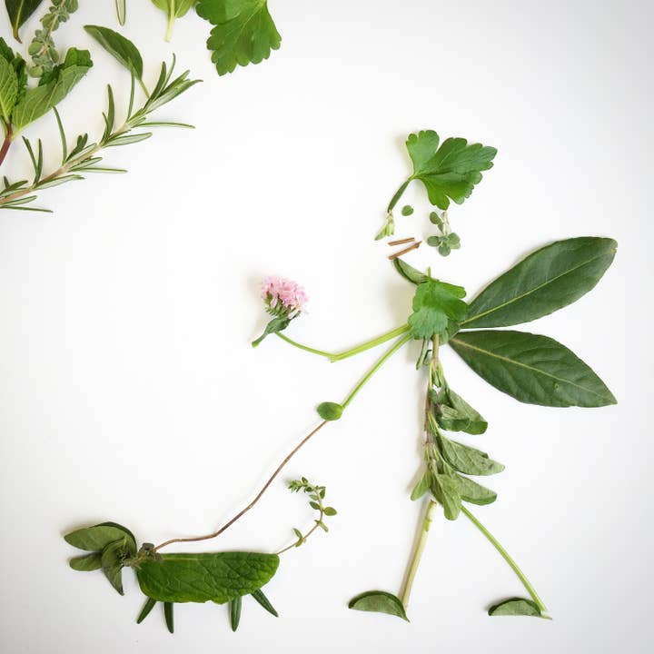 Potting Shed Creations, Ltd. - Wholesale Pet Treats - Dog - Garden in a Bag | Dog Grass | Spring Pet Treat Gift4