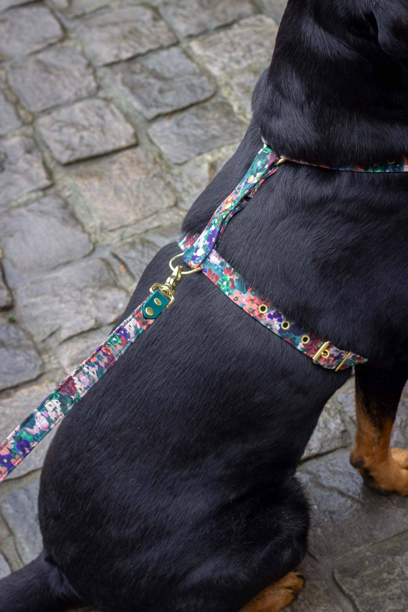 Atelier Markiz - Wholesale Pet Harness - Dog - Scarlett Harness7