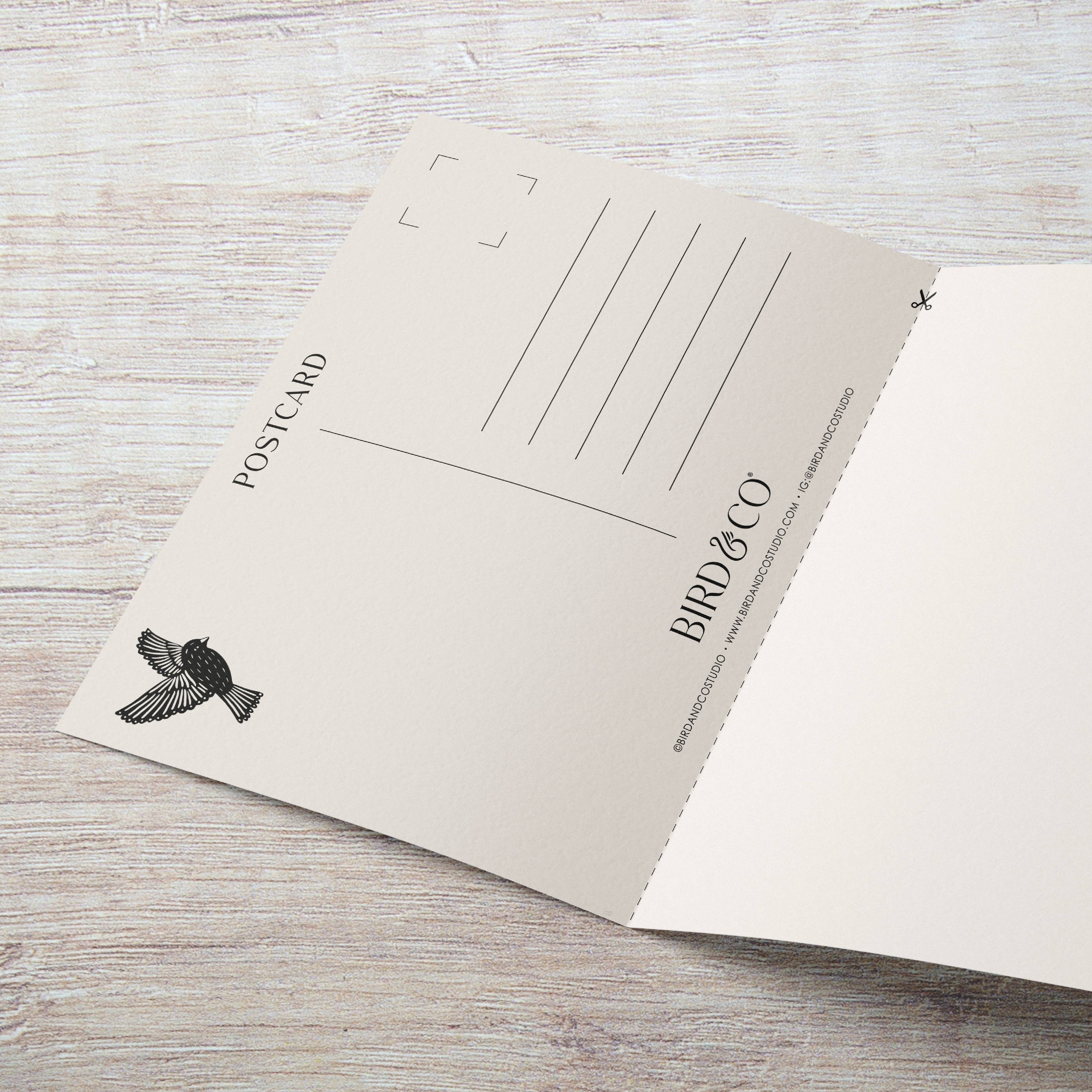 Bird & Co Studio - Wholesale Everyday Greeting Card - Wild Camping Adventure | Retro Geometric Greeting Card3