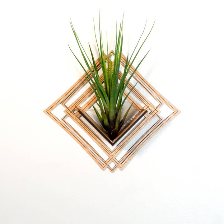 LIGHT RAZOR DESIGN STUDIO - Wholesale Wall planter - Air Plant Holder / Wall Hanging Planter 5 - Mounted Hanger17