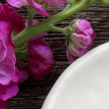 August Ceramics – Engroshandel Pyntetallerken/skål – Rund skål: Nellike „Januar Fødselsblomst“