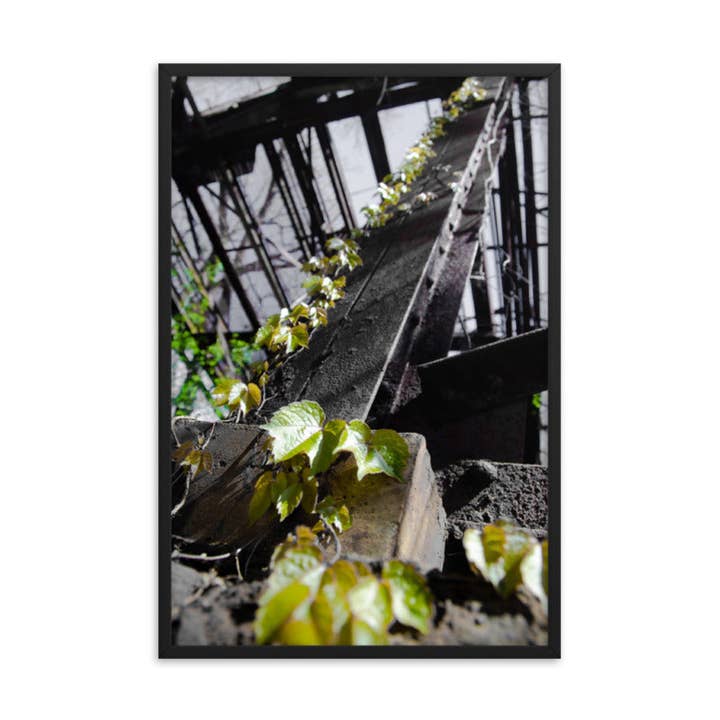 Natur Overtager Botanisk Natur Foto Indrammet Vægkunst for engroshandel hos Pipa Wall Art & Home Decor