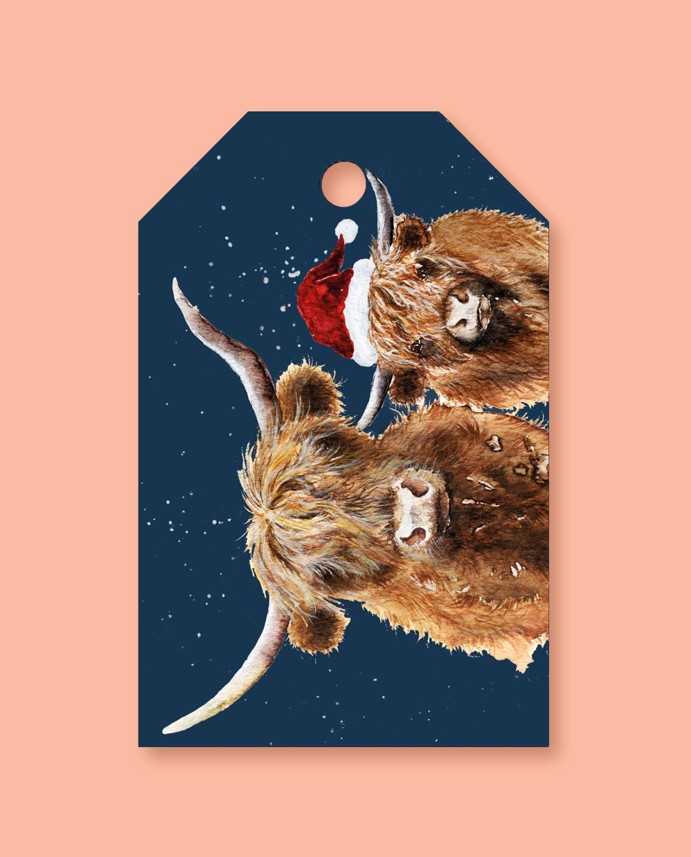 studio frewb - Wholesale Gift Tag - British Wildlife Christmas gift tags (6 tags per pack)8