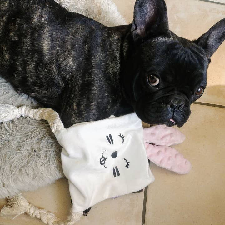 Stylidog - Wholesale Pet Plush Toy - Dog - Moune Rabbit-shaped dog toy handmade in France1