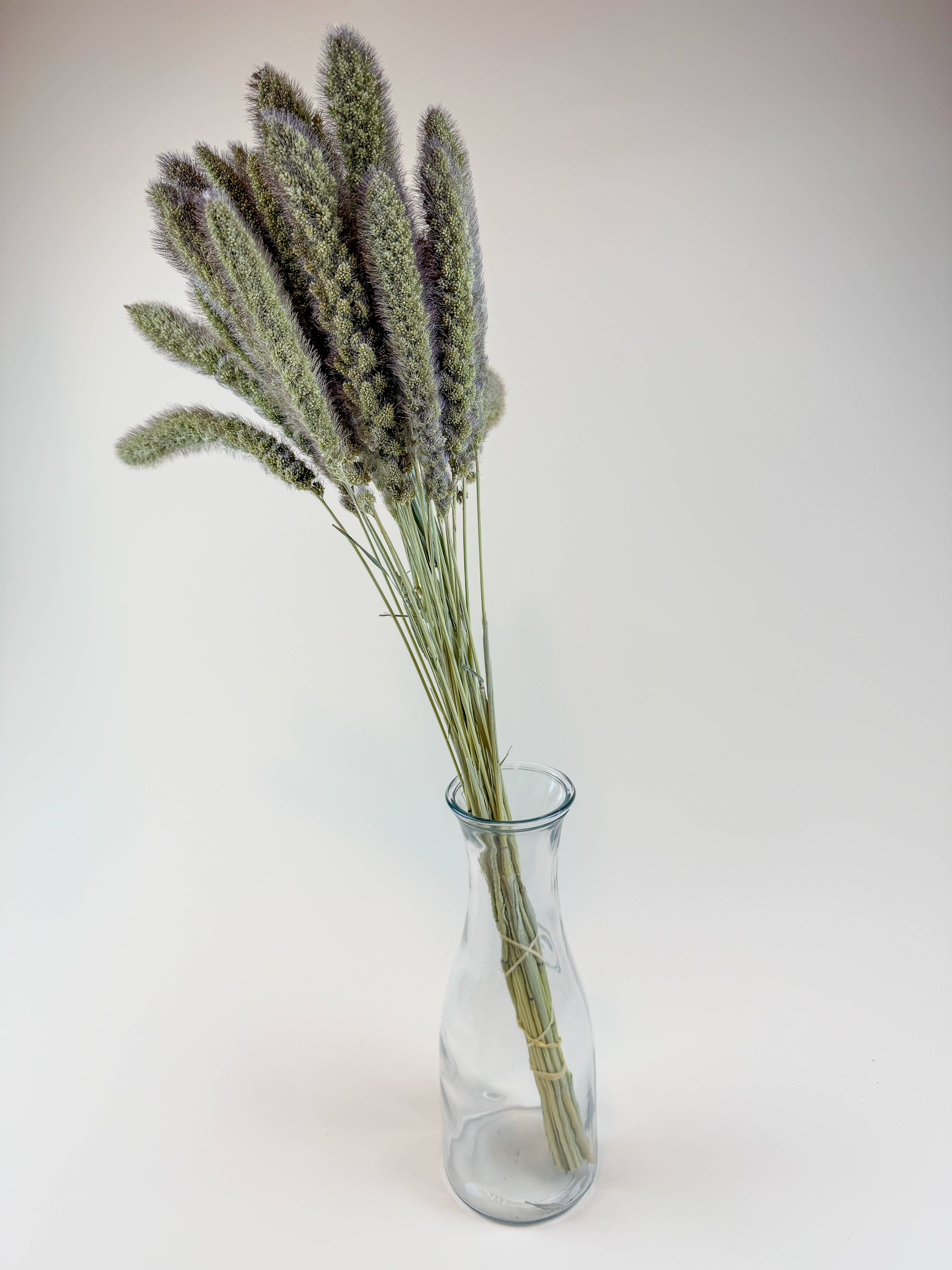 Lovejoy Farms Premium Dried Flowers - Wholesale Dried/Pressed Flowers - German Millet – Natural Dried Millet Stems for Floral Design3