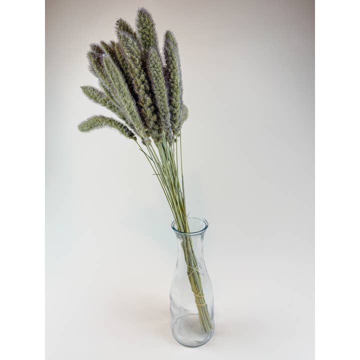 Lovejoy Farms Premium Dried Flowers - Wholesale Dried/Pressed Flowers - German Millet – Natural Dried Millet Stems for Floral Design3
