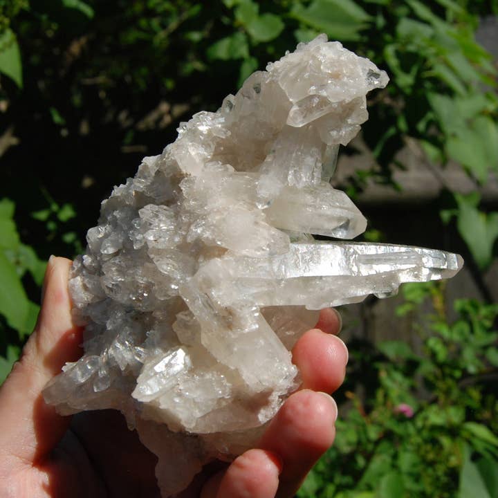 4.75in DT ET Clear Quartz Crystal Starbrary Flower Floater for wholesale by Caspar Curiosities