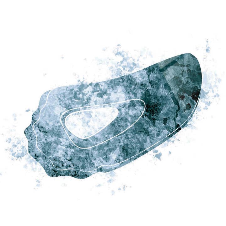 Blauw-witte waterverf Oyster | 8x8 glasplaat voor wholesale door Love Local