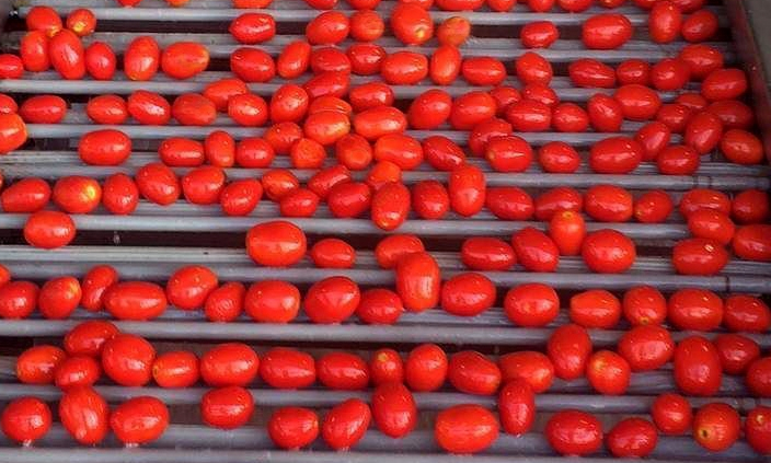 Dei Fratelli - Wholesale Pasta Sauce - Dei Fratelli Marinara Pasta Sauce - Vine Ripened1