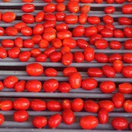 Dei Fratelli - Wholesale Pasta Sauce - Dei Fratelli Marinara Pasta Sauce - Vine Ripened1