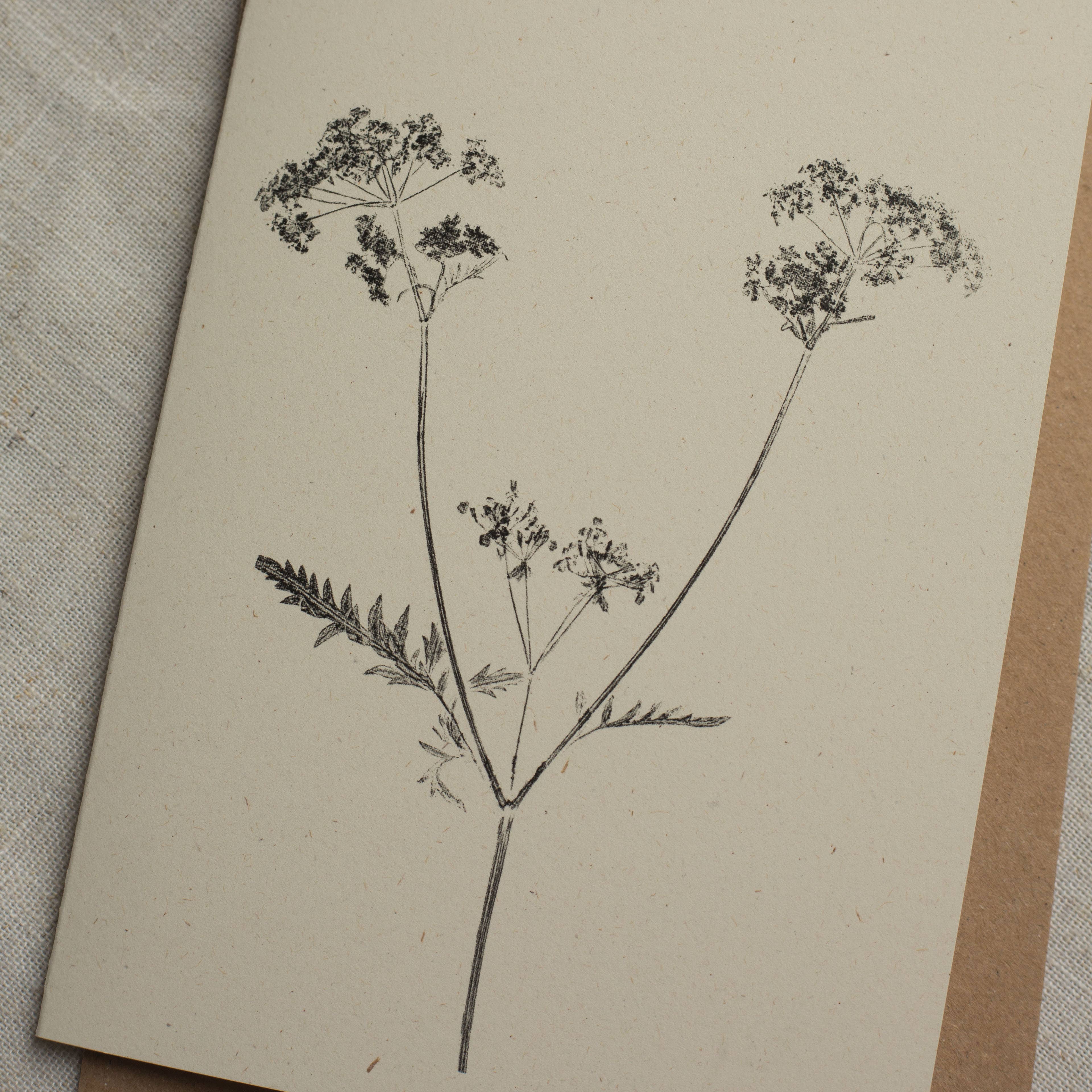 Alicia Breakspear - Wholesale Everyday Greeting Card - Cow Parsley Botanical Print Greeting Card A6 Recycled 5