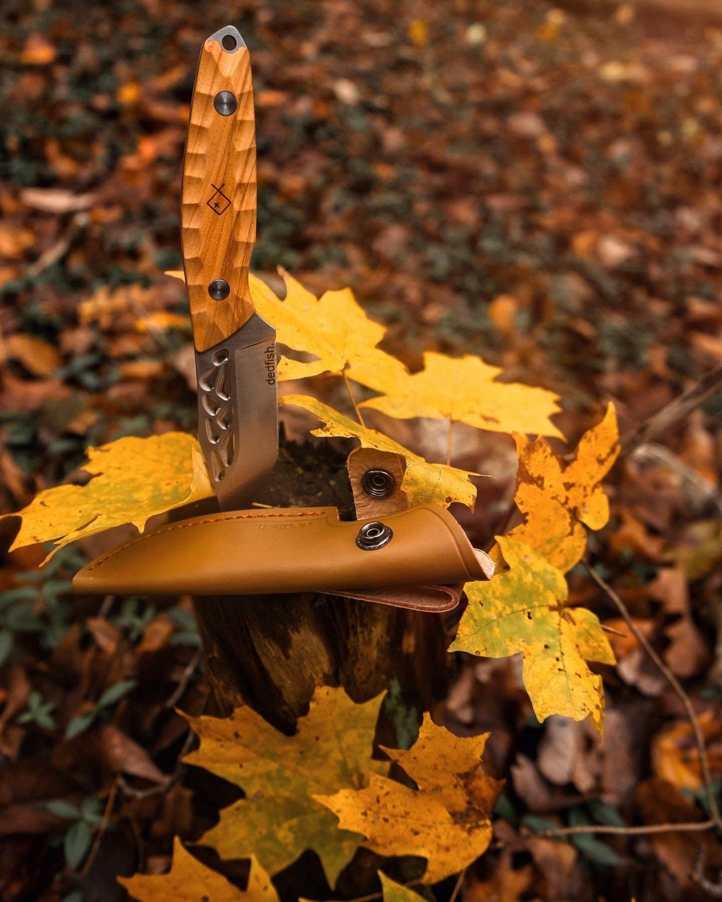 BattlBox - Wholesale Pocket Knife/Holder - Dedfish Co McCrea Stainless Steel Fixed Blade Belt Knife EDC10