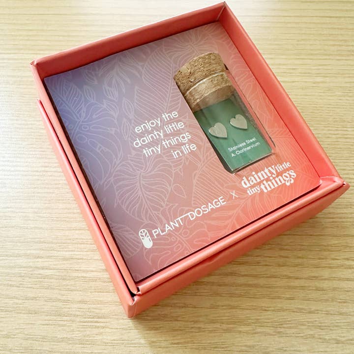 Dainty Little Tiny Things - Wholesale Geschenkdoosje - Geschenkdozen voor de detailhandel3