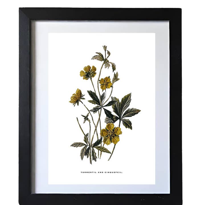 Coultura - Wholesale Gallery Wall Set - Framed Vintage Botanical Floral Wall Art Prints: Set Of Six5