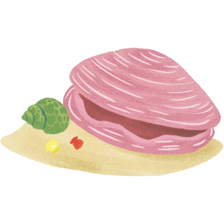 EDC Publishing - Wholesale Preschool Book (3-5) - Shine-A-Light: Secrets of the Seashore3