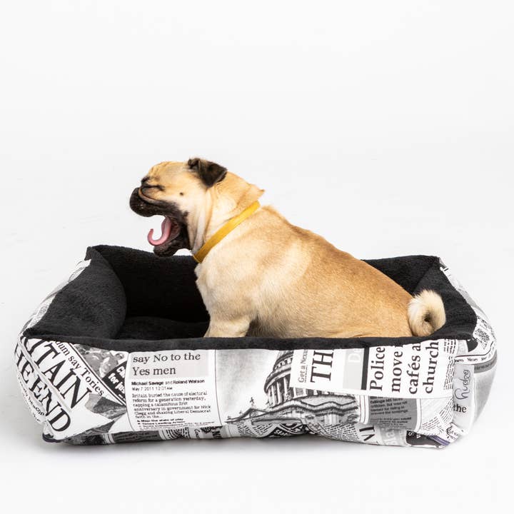 D-PERIODICO-2/B-NEGRO-1 NIDO DE CAMA REVERSIBLE PARA MASCOTAS HUDOG & HUCAT de venta al por mayor en Faire0