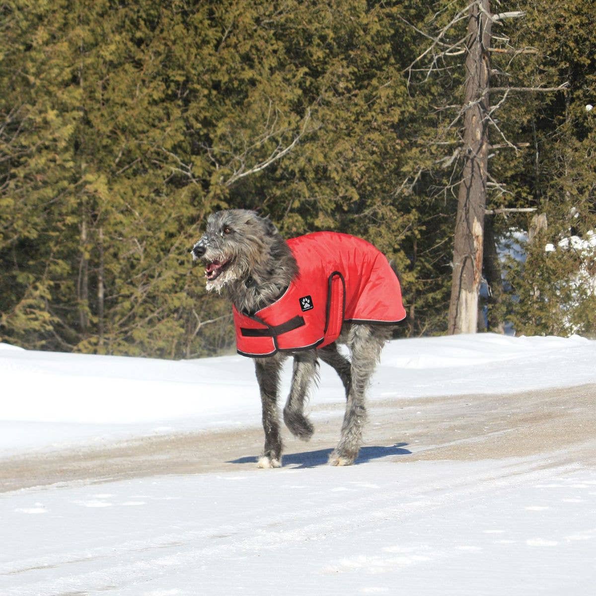 Shedrow K9 - Wholesale Pet Coat - Dog - Shedrow K9 Tundra Dog Coat - Red1