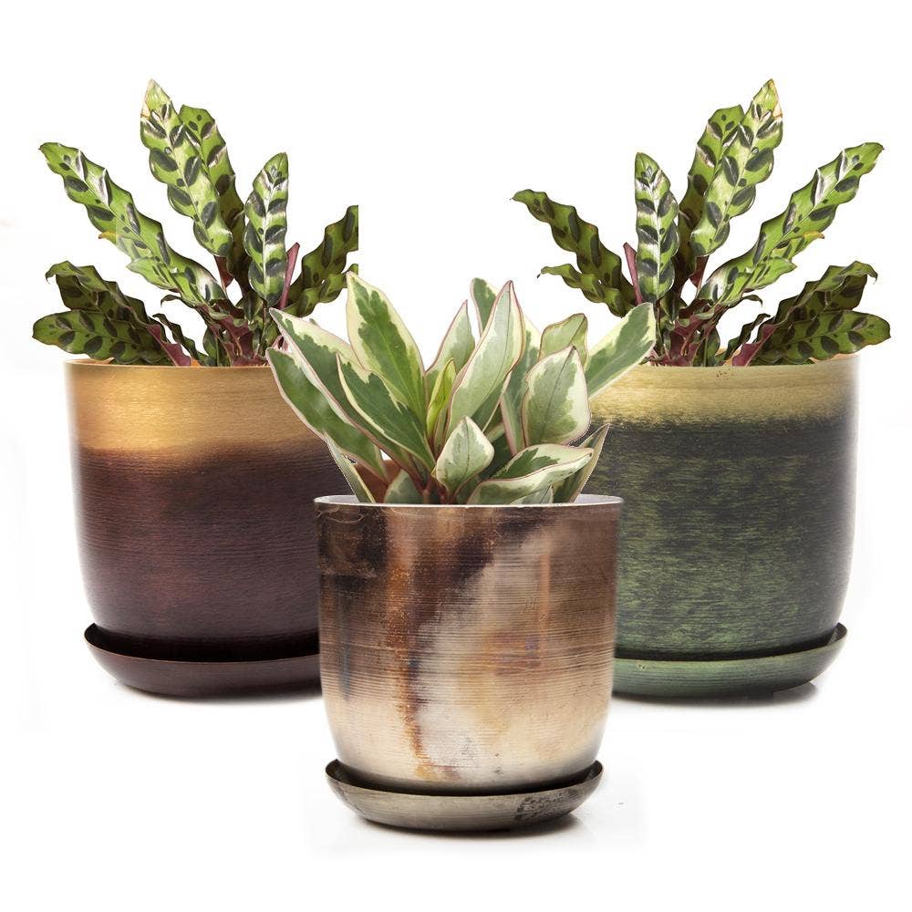 Chive - Wholesale Plant Pot - Joe Metal Flower Pots And Planters With Drainage Hole Saucer18